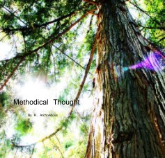 Methodical Thought book cover