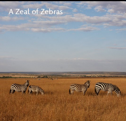 View A Zeal of Zebras by kollinsm