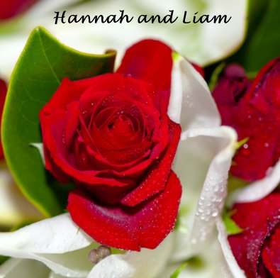 Hannah and Liam book cover