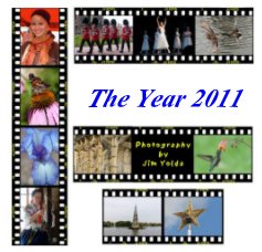The Year 2011 book cover