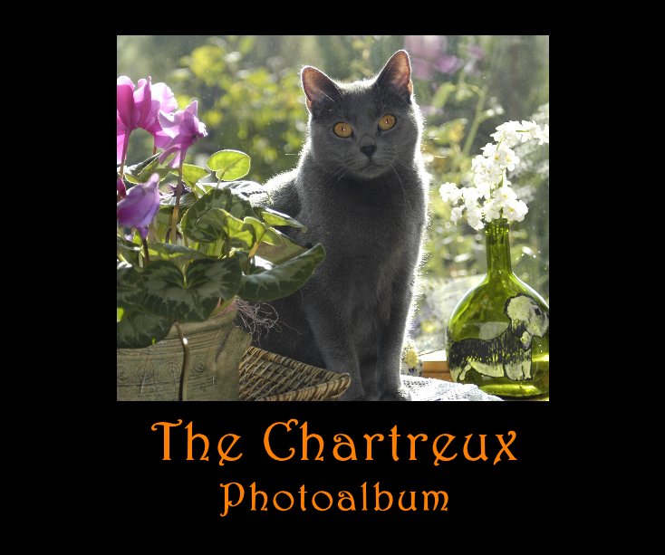 View The Chartreux by Susan Benkő