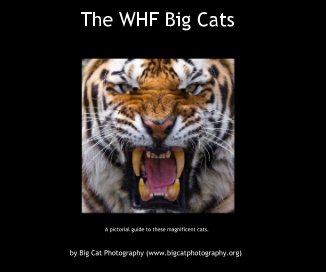 The WHF Big Cats book cover