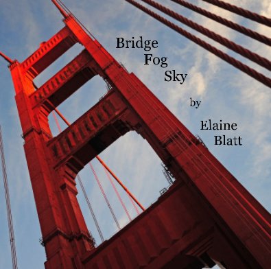 Bridge Fog Sky by Elaine Blatt book cover