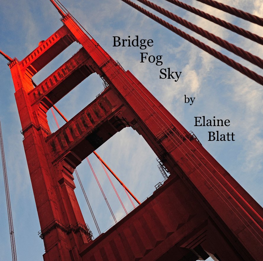 View Bridge Fog Sky by Elaine Blatt by lanieblatt