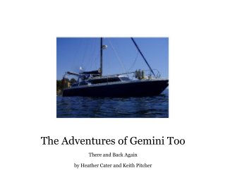 The Adventures of Gemini Too book cover
