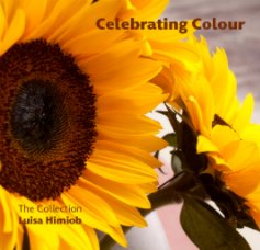 Celebrating Colour book cover