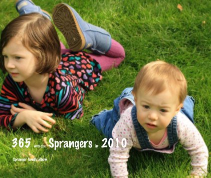 365 with the Sprangers in 2010 book cover