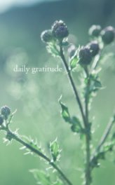 daily gratitude field book cover