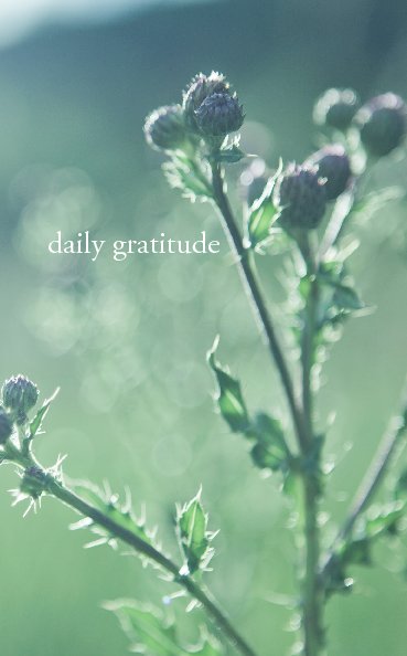 Ver daily gratitude field por amy gretchen