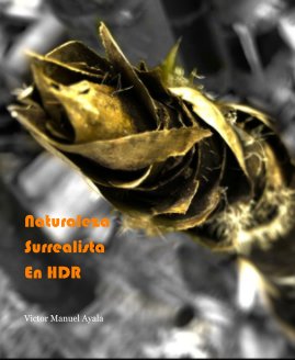 naturaleza surrealista en hdr book cover