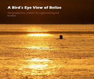 A Bird's Eye View of Belize book cover