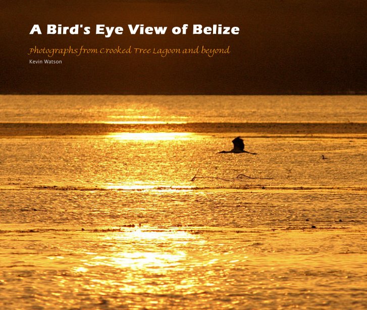 View A Bird's Eye View of Belize by Kevin Watson