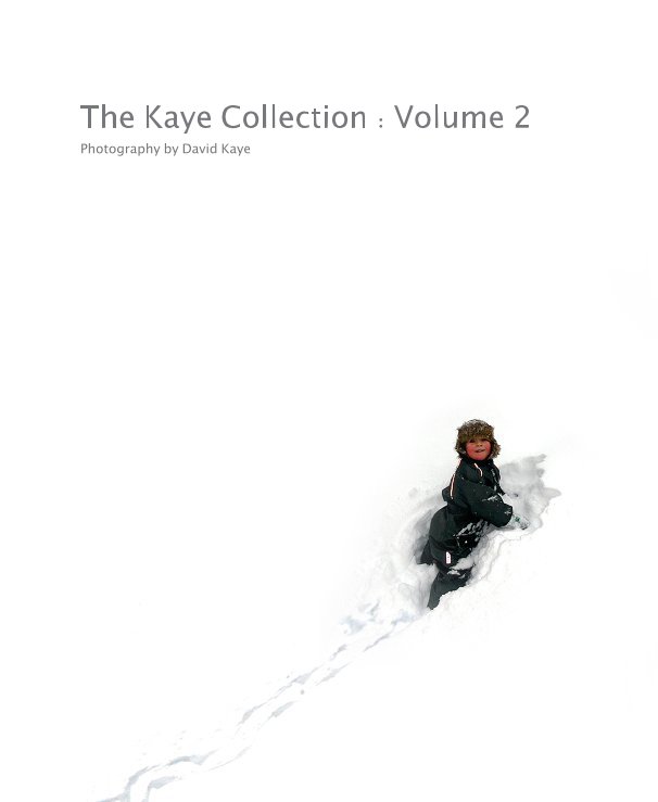 View The Kaye Collection : Volume 2 by David Kaye