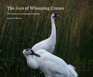 The Joys of Whooping Cranes book cover