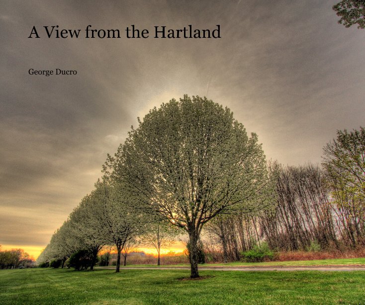 View A View from the Hartland by George Ducro