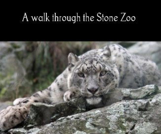 A walk through the Stone Zoo book cover