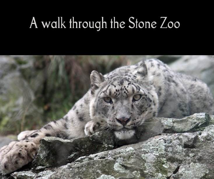Ver A walk through the Stone Zoo por nhpanda