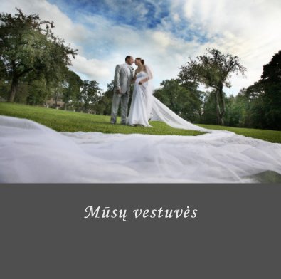 Simona ir Gintaras book cover
