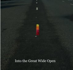 Into the Great Wide Open (soft) book cover