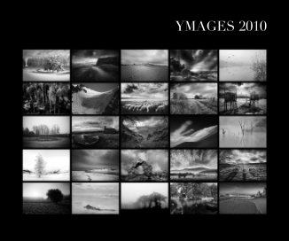 YMAGES 2010 book cover