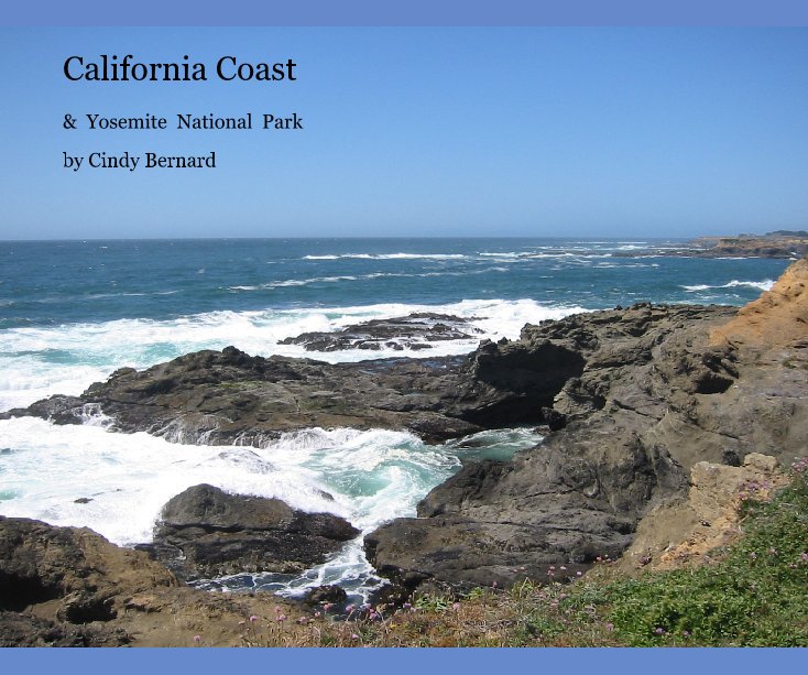 View California Coast by Cindy Bernard