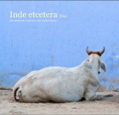 Inde etcetera (bis) book cover
