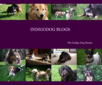 INDIGODOG BLOGS book cover