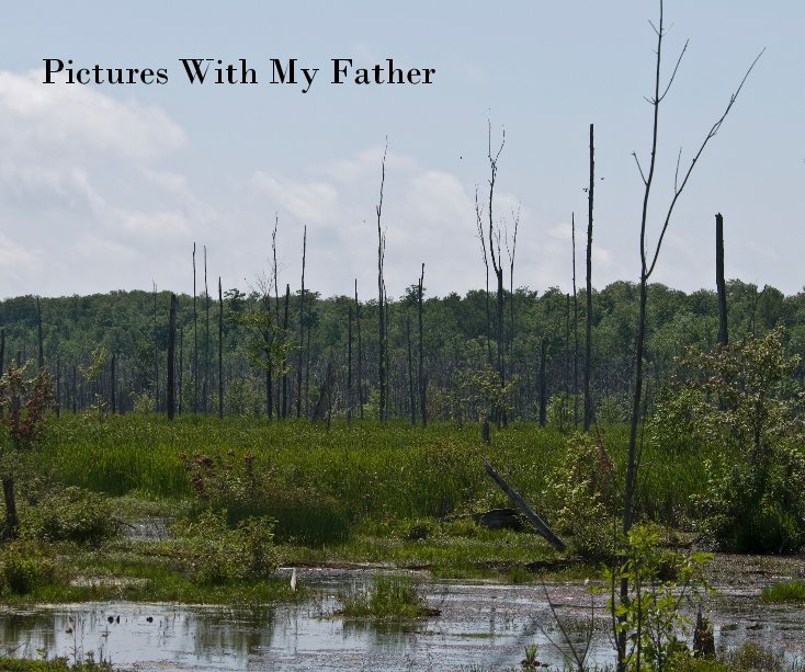 View Pictures With My Father by Brian Rome