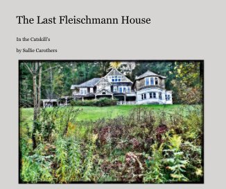 The Last Fleischmann House book cover