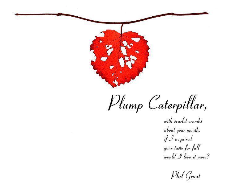 View Plump Caterpillar by Phil Grout