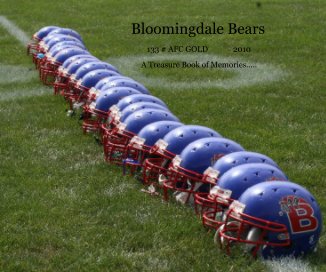 Bloomingdale Bears book cover