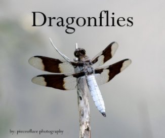 Dragonflies book cover