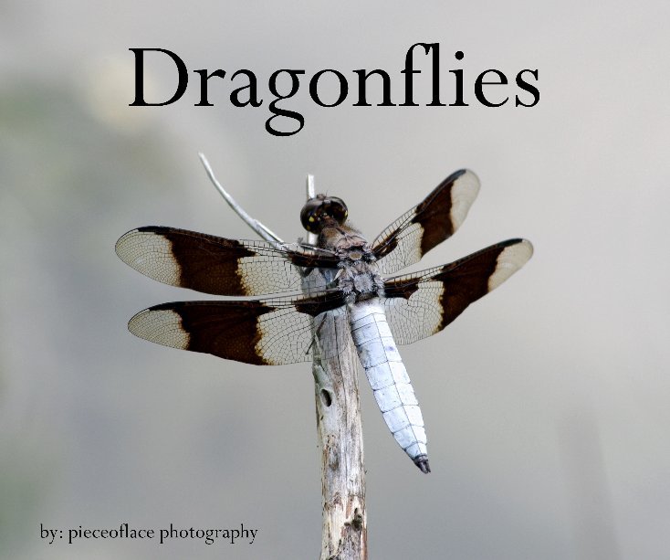 Bekijk Dragonflies op pieceoflace photography