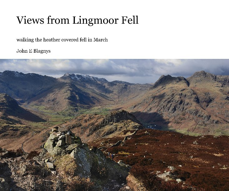 View Views from Lingmoor Fell by John E Blagnys