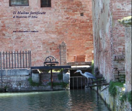Il Mulino fortificato di Monteroni D'Arbia book cover
