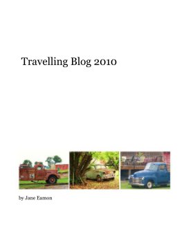 Travelling Blog 2010 book cover