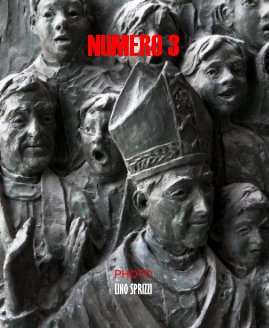 NUMERO 3 book cover