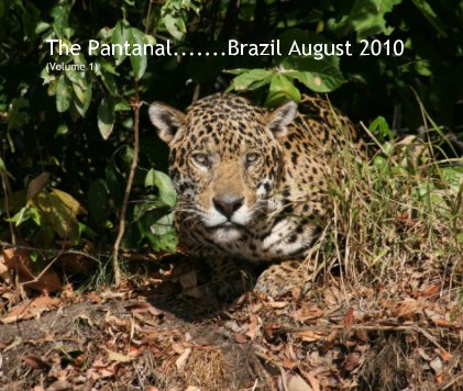 The Pantanal.......Brazil August 2010 (Volume 1) book cover