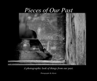 Pieces of Our Past book cover