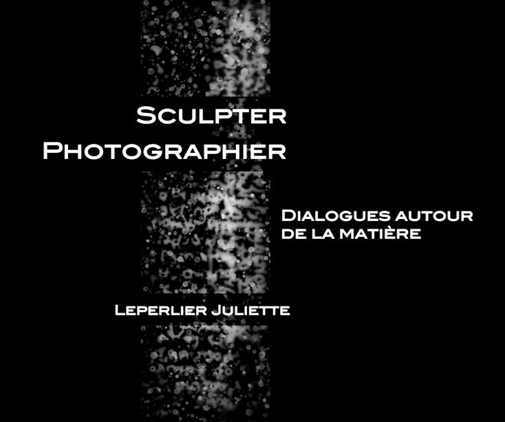 View Sculpter Photographier by Juliette LEPERLIER