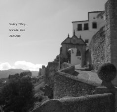Stalking Tiffany. Granada, Spain 2009-2010 book cover