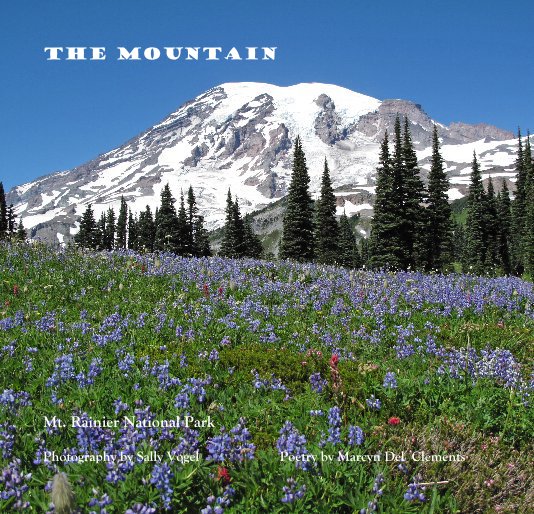 View The Mountain by Sally Vogel and Marcyn Del Clements
