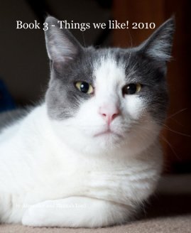 Book 3 - Things we like! 2010 book cover