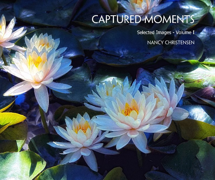 View Captured Moments by Nancy Christensen