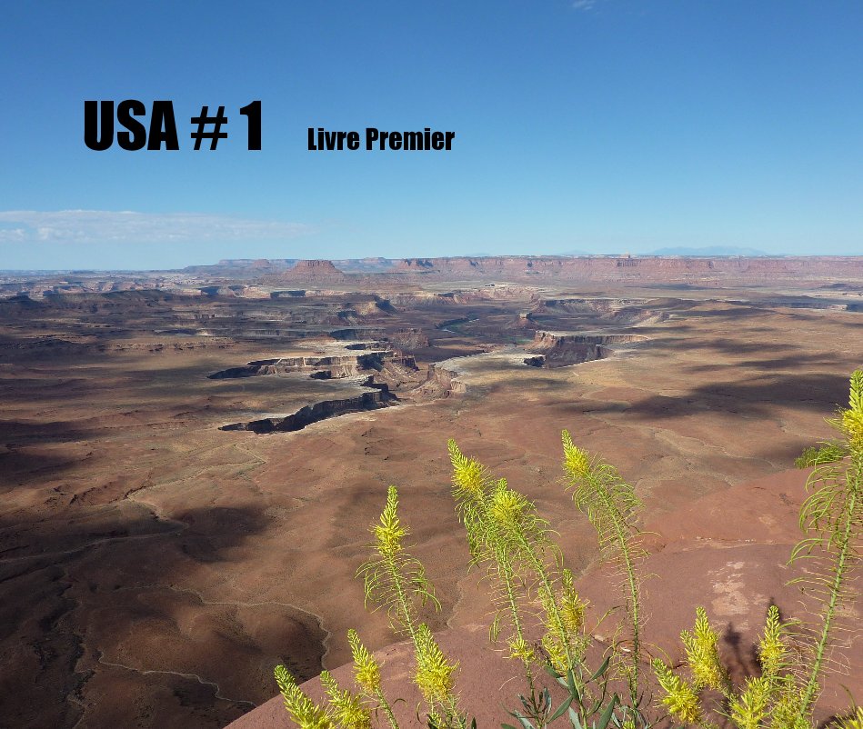 View USA # 1 Livre Premier by kowalski44