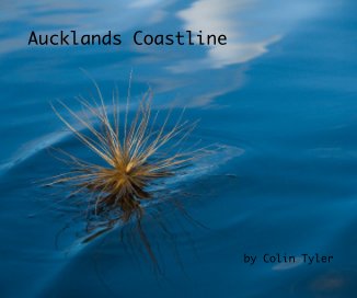 Aucklands Coastline book cover