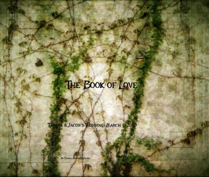 The Book of Love book cover