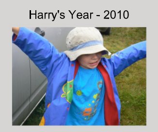 Harry's Year - 2010 book cover