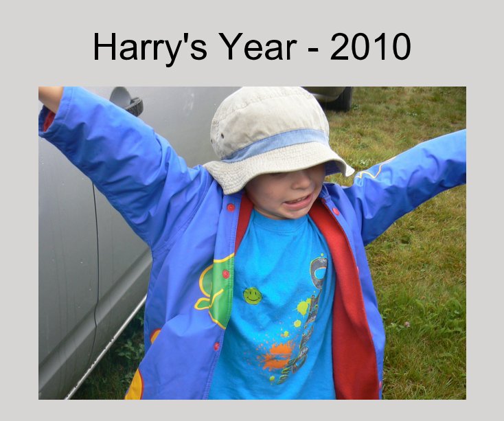View Harry's Year - 2010 by woodenmask