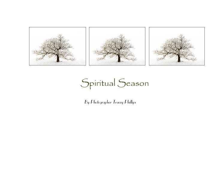 View Spiritual Season by Photographer Tracey Phillips